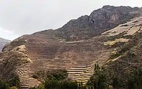 Un flanc de montagne totalement aménagé pour l'agriculture à Písac.