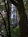 Descente raide entre arbres et rochers, face à la chute