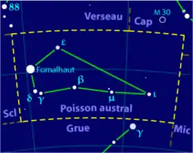 Image illustrative de l'article Poisson austral