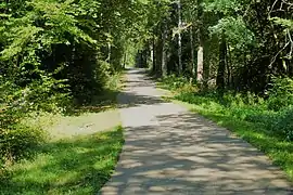 La piste cyclable de l'Attert (PC12) à Steinfort