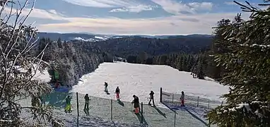 Piste verte L'ourson depuis le sommet du télésiège Tête de Grouvelin