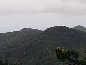 Vue du piton Baille-Argent par Belle-Hôtesse