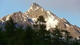 Vue du piz Languard