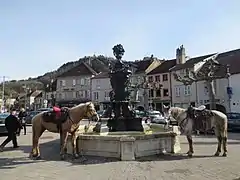 Équitation à Poligny