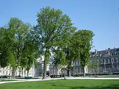 La place de Verdun