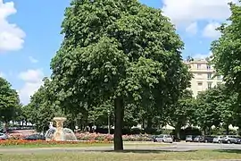 La place avec la fontaine (à gauche).