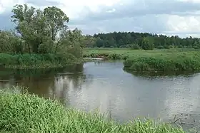 La rivière Gouslitsa, à son point de confluence avec la Nerskaïa, près du village de Khoteïtchi.