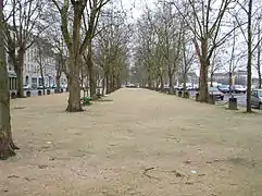 Aires de pétanque sous les platanes