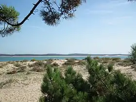 Une plage à la pointe de Gatseau.