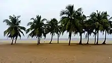 Une plage de sable bordée de palmiers à Lomé, au Togo.