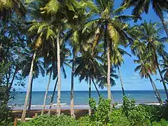 Plage de Nyambadao, point de départ courant des bateaux pour l'îlot.