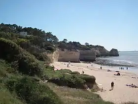 Falaise de Suzac à Saint-Georges-de-Didonne