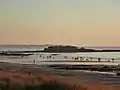 Le Fort Bloqué et la plage à marée basse.