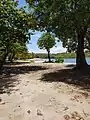 Plage de la Baie du Nord-Ouest