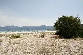 Plage du Loto, commune de Santo-Pietro-di-Tenda.