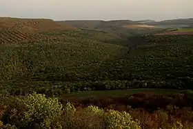 Vue du Plain de Suzâne depuis le Plain de Suzard.