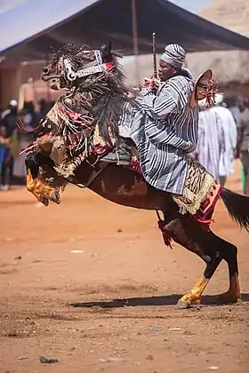 Homme noir en selle sur une cheval costumé et cabré.