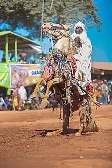 Plaisir d'un équestre au Benin