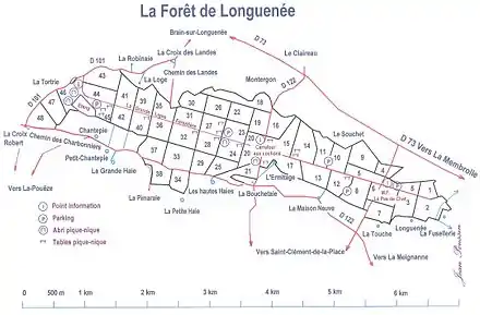 Plan détaillé de la Forêt de Longuenée.