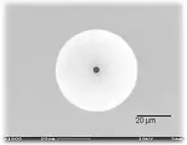 image d'une pipette à surface plane obtenue par microscope électronique à balayage. Les deux types de pipette sont composées de verre de borosilicate.