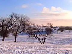 Plaines d'Abraham en hiver