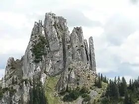 Le Plankenstein vu de l'ouest