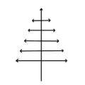 Tronc orthotrope et monopodial, rameaux latéraux plagiotropes et monopodiaux. Exemples : Araucaria, sapins.