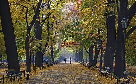 Le parc en automne .