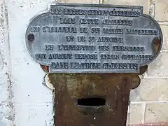 Plaque du tronc.