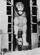 Travail d'anastylose sur le lion d'Amphipolis (modèle en plâtre du lion, en 1937).