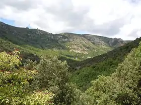 Plateau de Montselgues depuis Thines