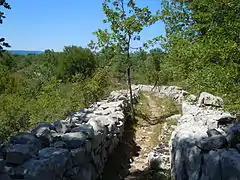 Les chemins sont bordés de murs de pierres sèches.