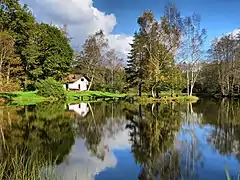 Un des étangs de la Grand Peteneu avec île.