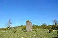 Menhir sur le plateau du Blandas