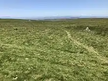 Plateau du Limon entre Cheylade et Dienne en été.