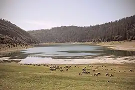 Le plateau Ajdir aux environs de la ville.