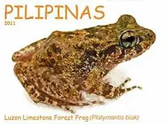 Description de l'image Platymantis biak 2011 stamp of the Philippines 2.jpg.