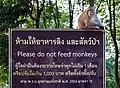 S'il vous plaît, ne nourrissez pas les singes !