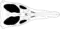 Diagramme d'un crâne de Pliosaurus kevani.