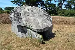 Image illustrative de l’article Dolmens de Kervignon