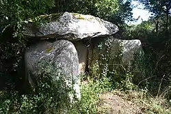 Image illustrative de l’article Dolmen de Menez Landu