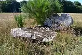 Dolmen de Kerbulic