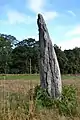 Menhir de la Vieille Métairie.