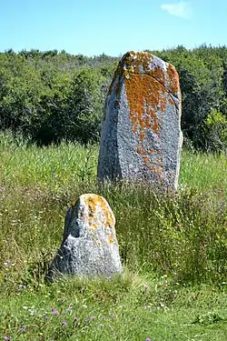 Image illustrative de l’article Menhirs de Kerharo Vian