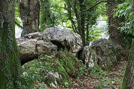 Allée couverte de Bel Evan