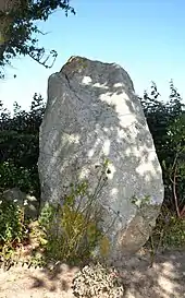 Menhir de Prat Léac'h