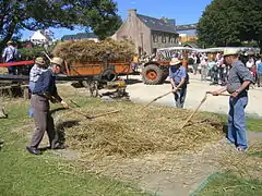 Battage au fléau