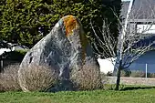 Menhir du Rhun