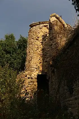 Ruines du manoir de Kérisac.