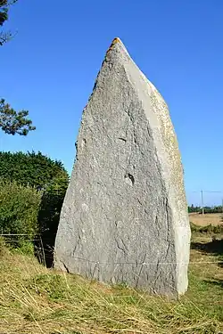 Image illustrative de l’article Menhir de Menoignon